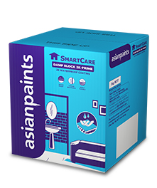 SmartCare Damp Block 2K - Prime